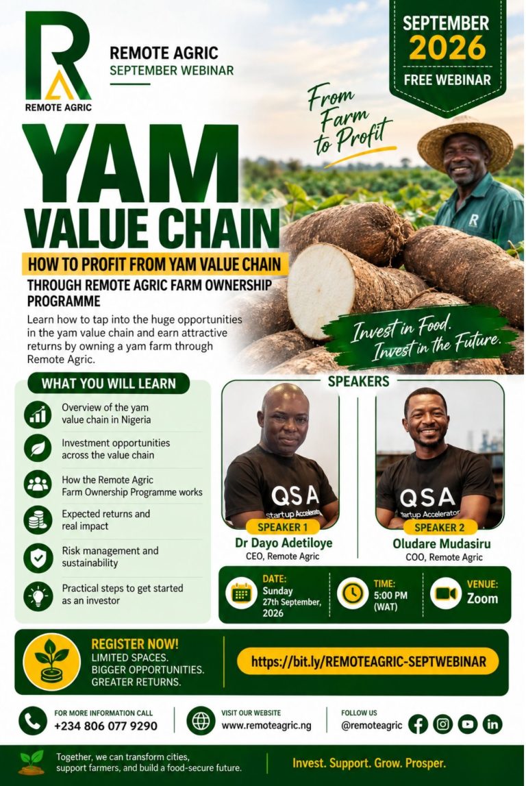 how to profit from the yam value chain in Nigeria